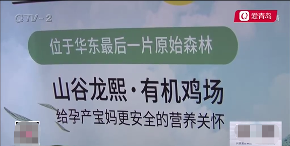 又一个“养鸡”的互联网项目跑路了！投40万，一夜能赚四千多，公司失联！插图1