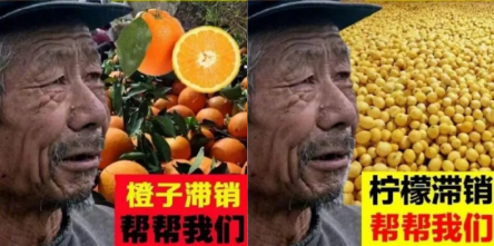 紧急求助！陕西800万斤水蜜桃销路难，9.9元包邮，老农心急如焚？？“悲情营销”是另一种形式的坑农害农插图8