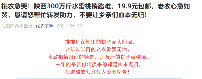 紧急求助！陕西800万斤水蜜桃销路难，9.9元包邮，老农心急如焚？？“悲情营销”是另一种形式的坑农害农插图3