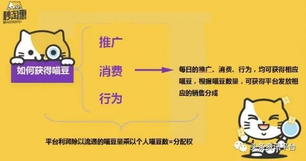 揭底以“喵豆”为收入代码的秒淘惠，服务100淘友年收入可达3.6万元？插图8