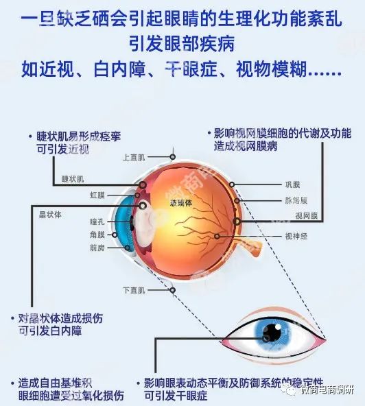 【头条】倍视美护眼液声称可改善多种眼疾，械字号产品涉嫌超范围宣传插图10