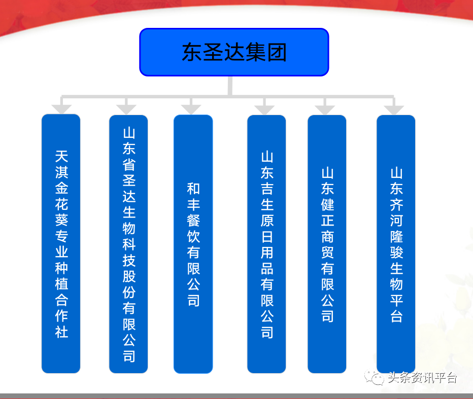 吉生原被罚后圣达生物又得新生，GDT区块链新模式暗藏何种玄机？插图25