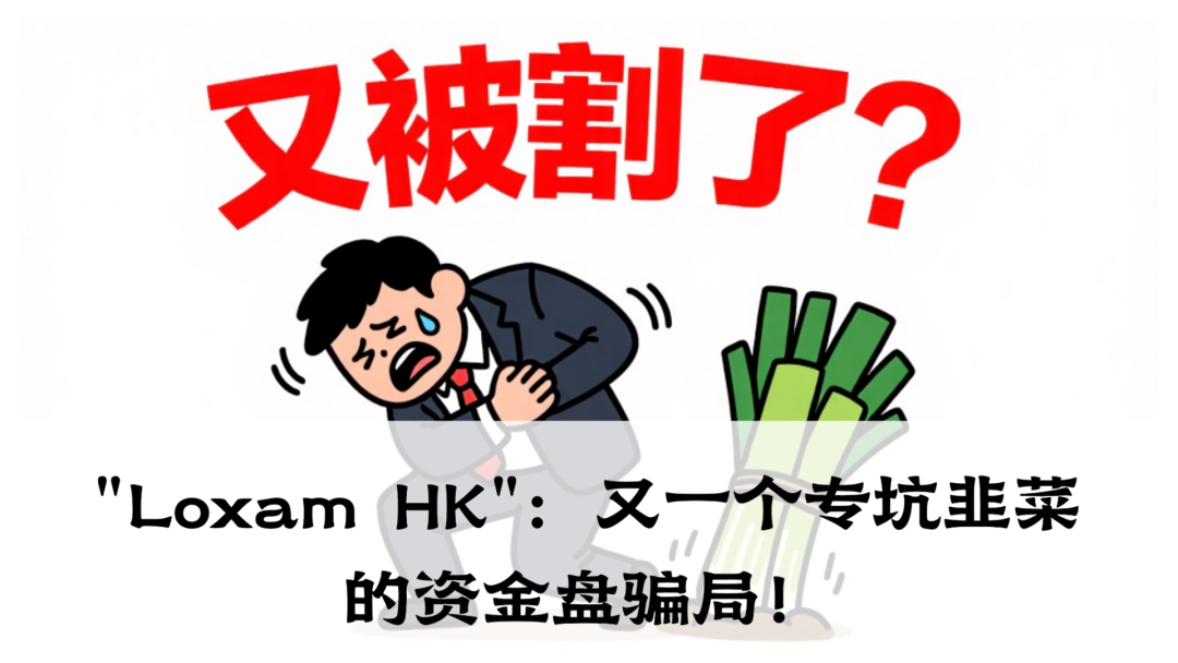 带你扒皮"Loxam HK"：又一个专坑韭菜的资金盘骗局！