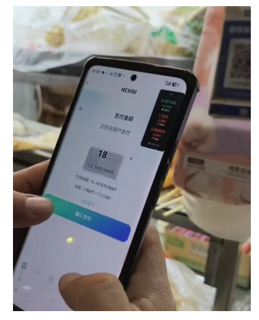 百天暴富陷阱：起底NEXIM加密支付资金盘的传销骗局！召开越南资金盘大会不过是诱骗你上当而已！插图3