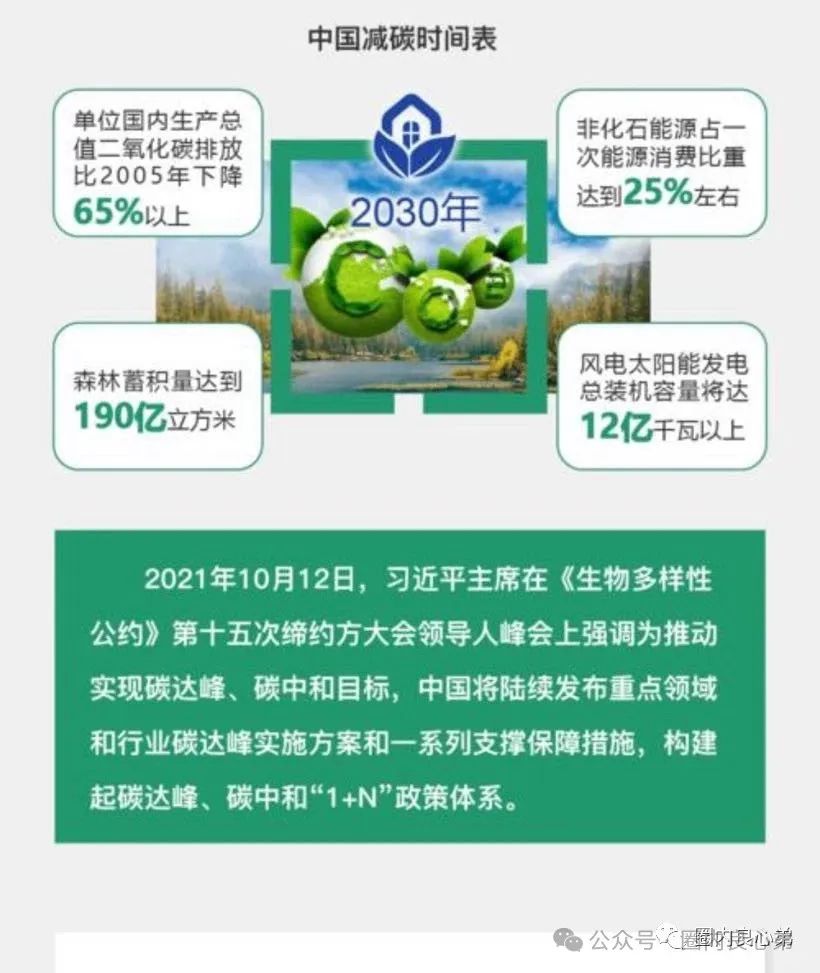 中基绿能，套牌新能源分红3980电池资金盘骗局，多地政府预警，注意警惕。插图1