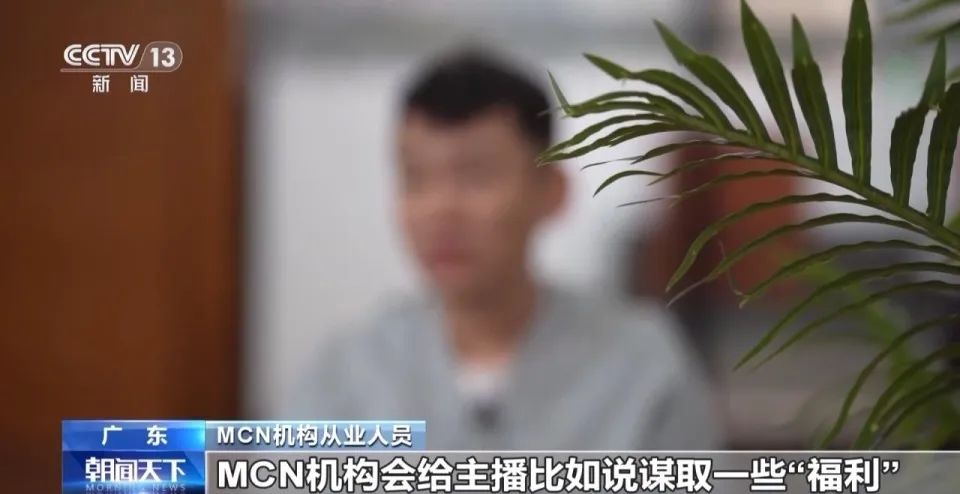 惠州一MCN公司偷税骗补2.26亿！在外地开10家空壳公司，将打赏收入“伪装”成信息技术服务费插图8