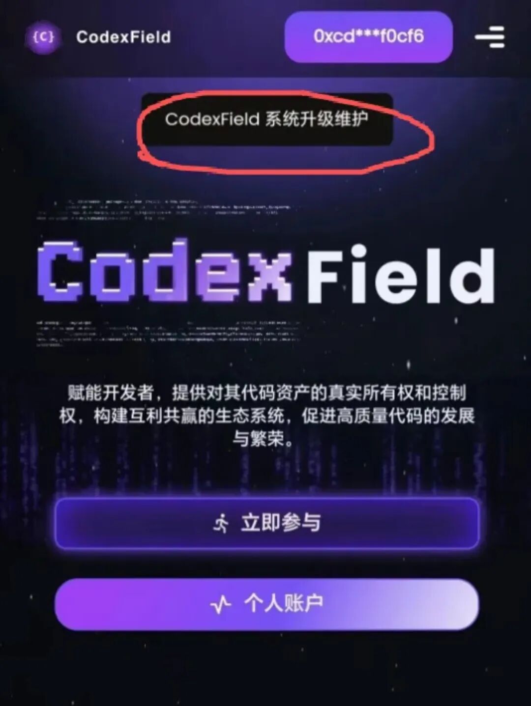 Codexfield崩盘了，暂停提现，关闭闪兑，各大群开启禁言