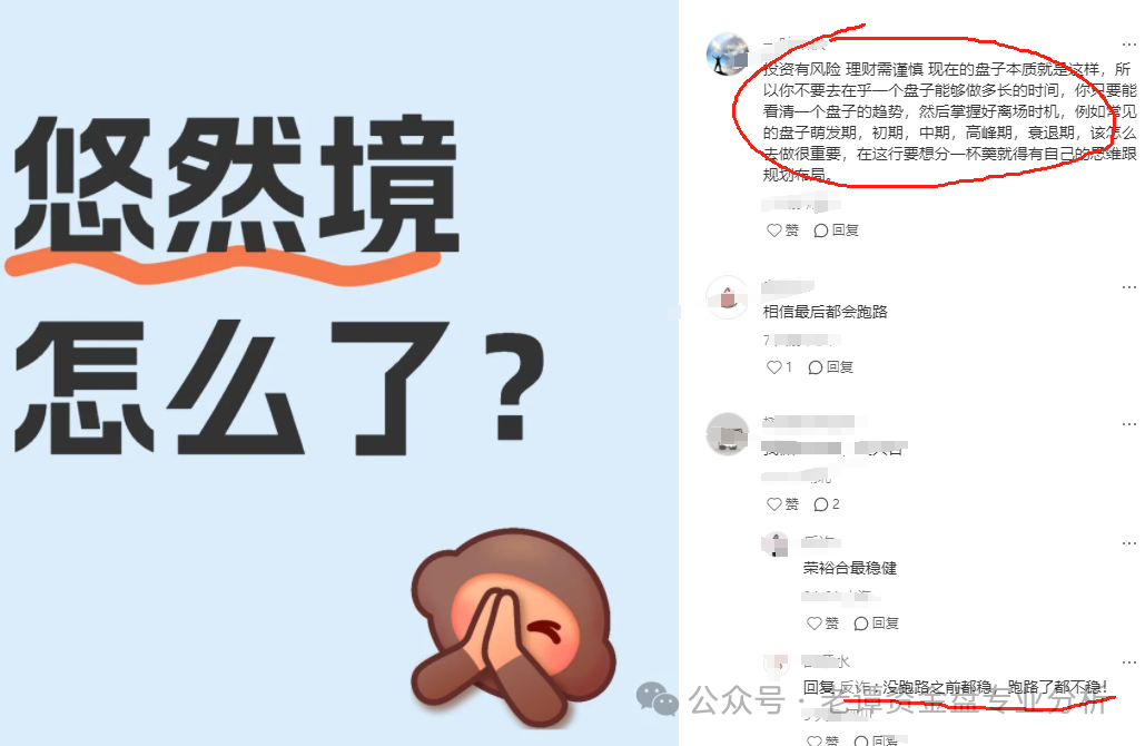 老谭深度解析：悠然境资金盘背后的套路与陷阱插图3