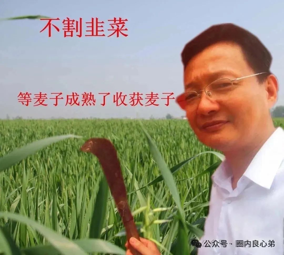 你不知道的事，DGCX交易所跟单骗局，已经有官方出来打假插图7
