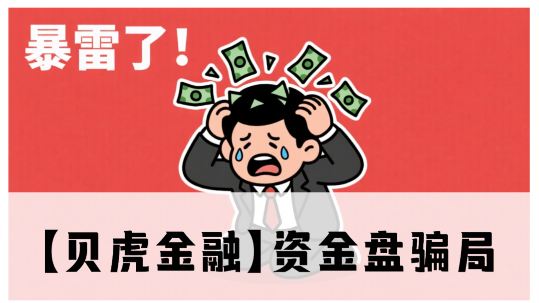 【贝虎金融】资金盘骗局：震哥揭秘高额分红陷阱，高度预警
