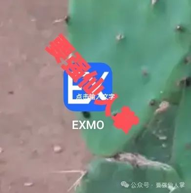 5月4日最新消息，曝光一个今日上线的合约交易所骗局【EXMO交易所】插图1