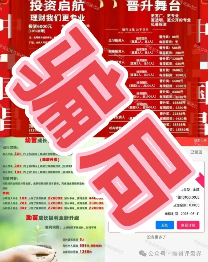 【中永国昌】庞氏骗局大起底！震哥紧急提醒：别当韭菜接盘侠！插图4