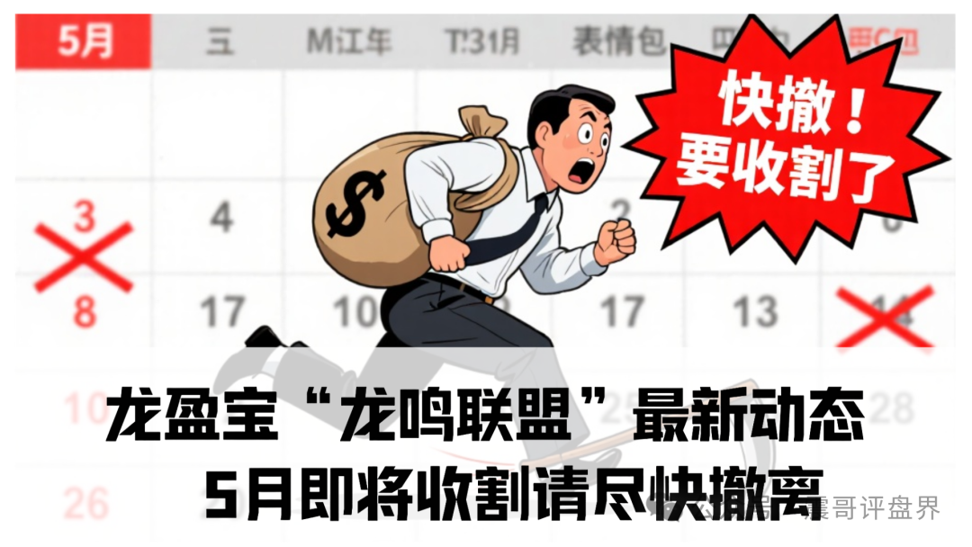 龙盈宝“龙鸣联盟”最新动态：5月即将收割请尽快撤离