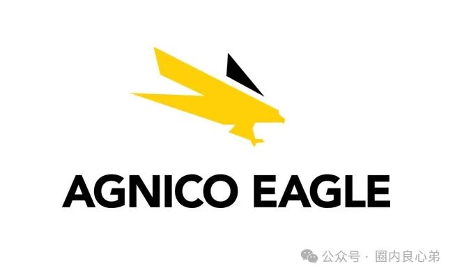 伊格尔矿业—AGNICO EAGLE，涉嫌非法吸收公众存款，注意警惕。插图1