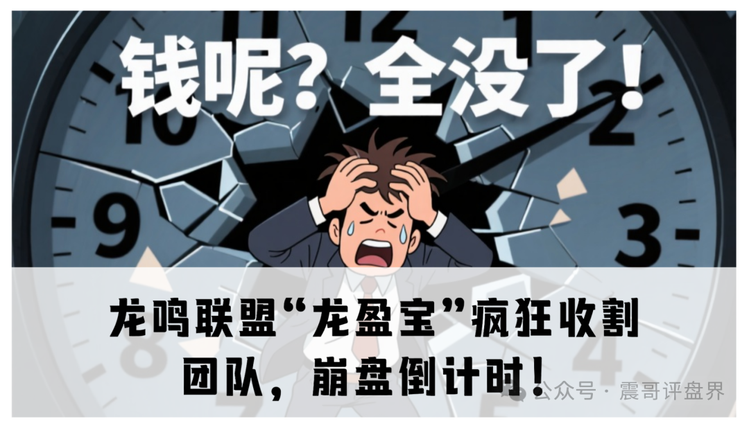 震哥独家揭秘：龙鸣联盟“龙盈宝”疯狂收割团队，崩盘倒计时！