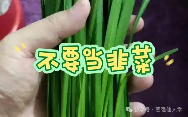 5月3日最新消息，曝光两个资金盘骗局【套牌香港维尔利】【天体交易所】插图1