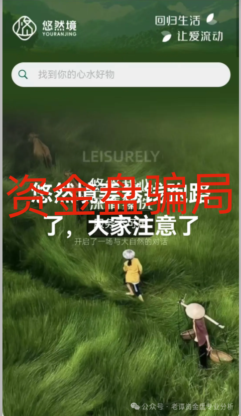 老谭深度解析：悠然境资金盘背后的套路与陷阱插图2