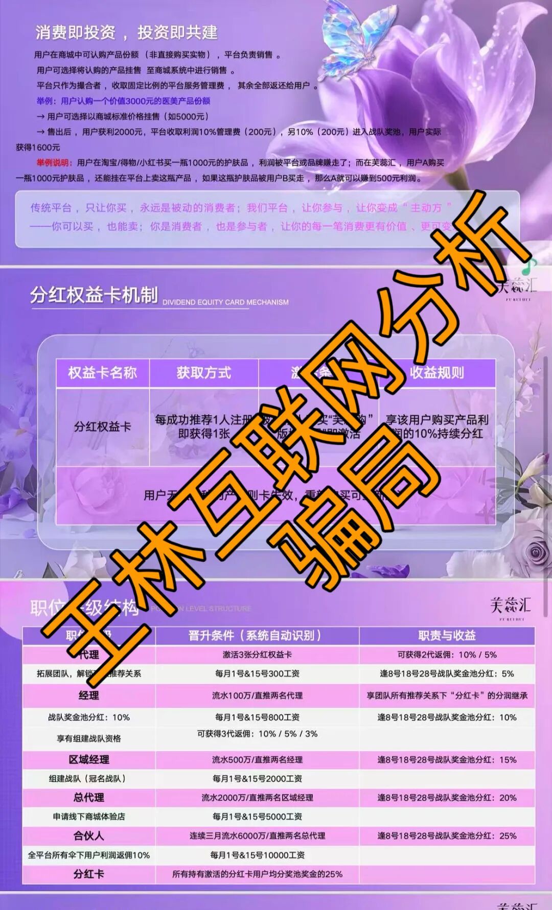 12月24日最新资金盘项目骗局曝光，随时可能卷钱跑路，速度撤离！插图1