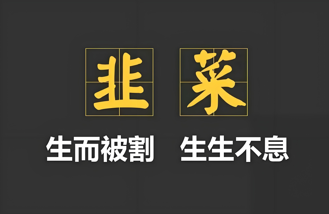 天体交易所崩盘尸骨未寒！俞凌雄携“老虎AI”再举镰刀！宝二爷站台成“催命符”插图1