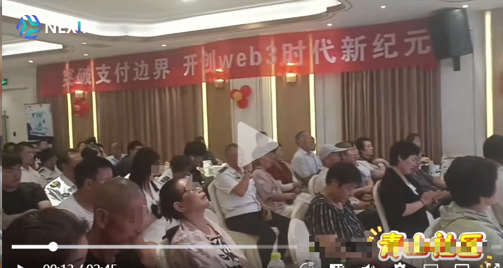 Nexim耐克森崩盘：链上支付概念下的惊天骗局，千万投资者一夜梦碎插图2
