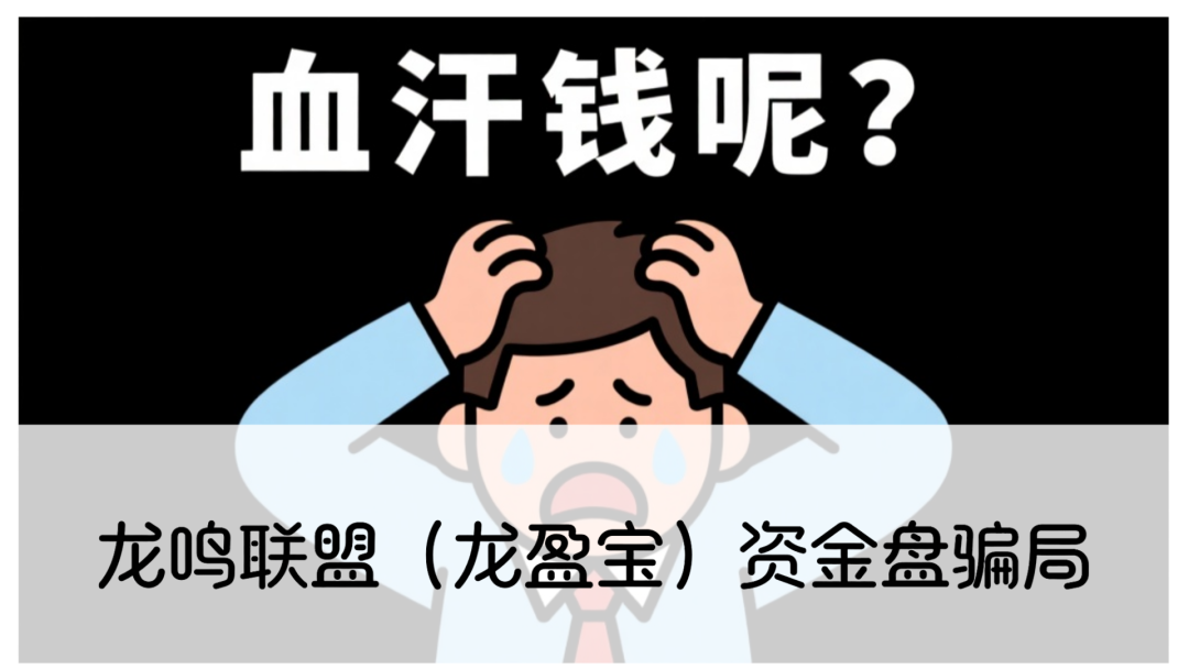 龙鸣联盟（龙盈宝）资金盘骗局，圈钱过亿，高度预警，别被收割