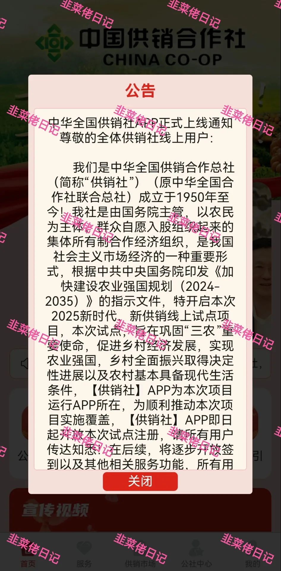 161.最新资金盘项目骗局曝光，供销社随时可能卷钱跑路插图1