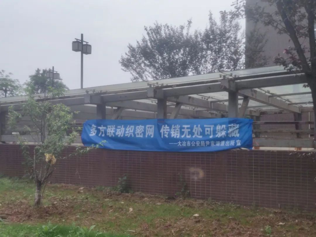 投资135800出局可赚1720万？卧底揭秘 “骑着电动车穿梭在湖北大冶的传销大军”