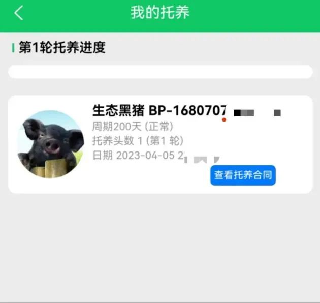 “庞博集团”传销案始末：披着农业外衣的资金陷阱