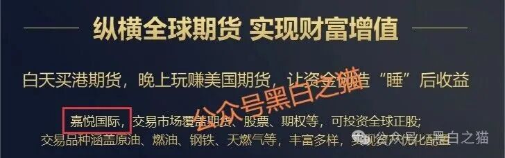 诈骗园区虚构“鸿运万交所”，冒用柬埔寨歌手当创始人，伪造项目实施非法行为……插图8