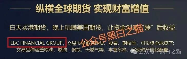 诈骗园区虚构“鸿运万交所”，冒用柬埔寨歌手当创始人，伪造项目实施非法行为……插图9