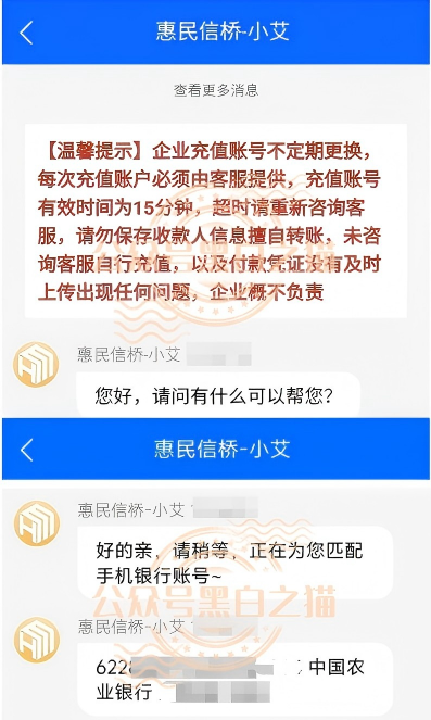 贼窝第三篇：“惠民信桥”全盘伪造，几个资金盘共享服务器同时运营插图8