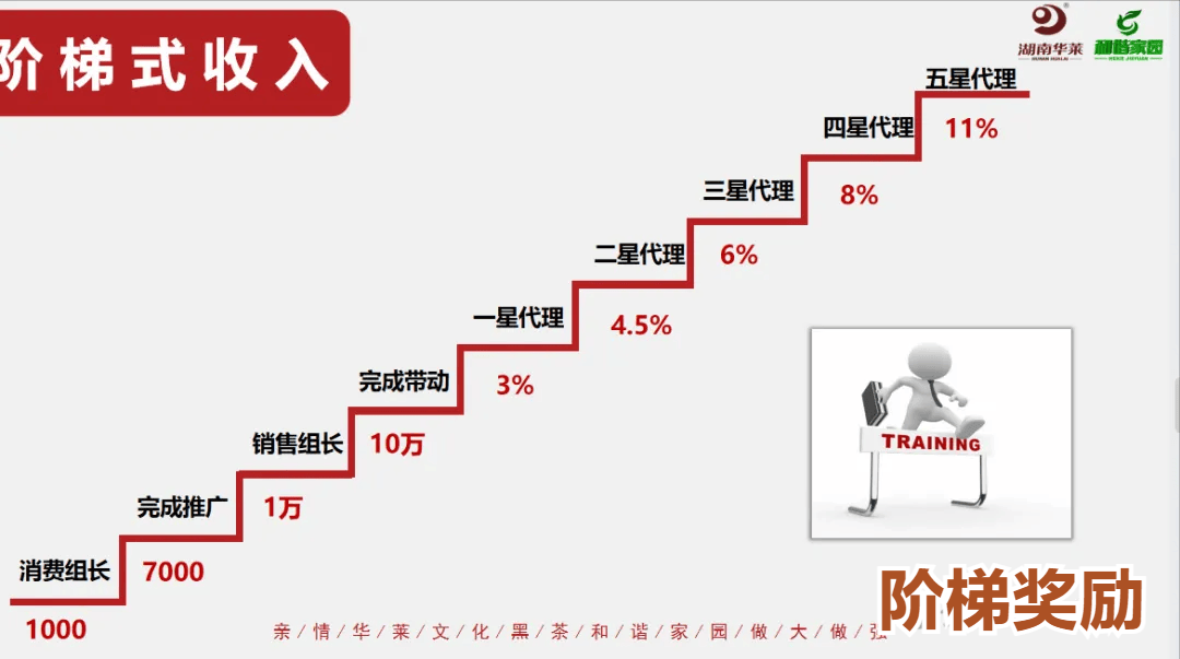 理想华莱黑茶违规争议、直销外衣下的传销魅影与行业之殇插图2 理想华莱黑茶违规争议、直销外衣下的传销魅影与行业之殇插图2