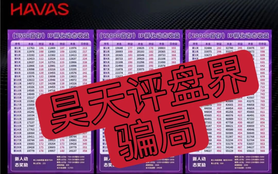 套牌的“HAVAS IP孵化平台”资金盘骗局,日收益高达1%,高度预警,远离!—昊天评盘界插图2 套牌的“HAVAS IP孵化平台”资金盘骗局,日收益高达1%,高度预警,远离!—昊天评盘界插图2