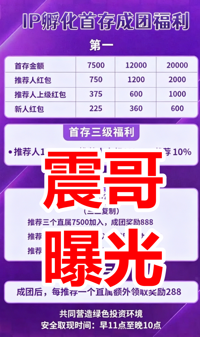 HAVAS(汉威士)IP孵化资金盘骗局,拉人头涉嫌违法,看见远离插图1 HAVAS(汉威士)IP孵化资金盘骗局,拉人头涉嫌违法,看见远离插图1