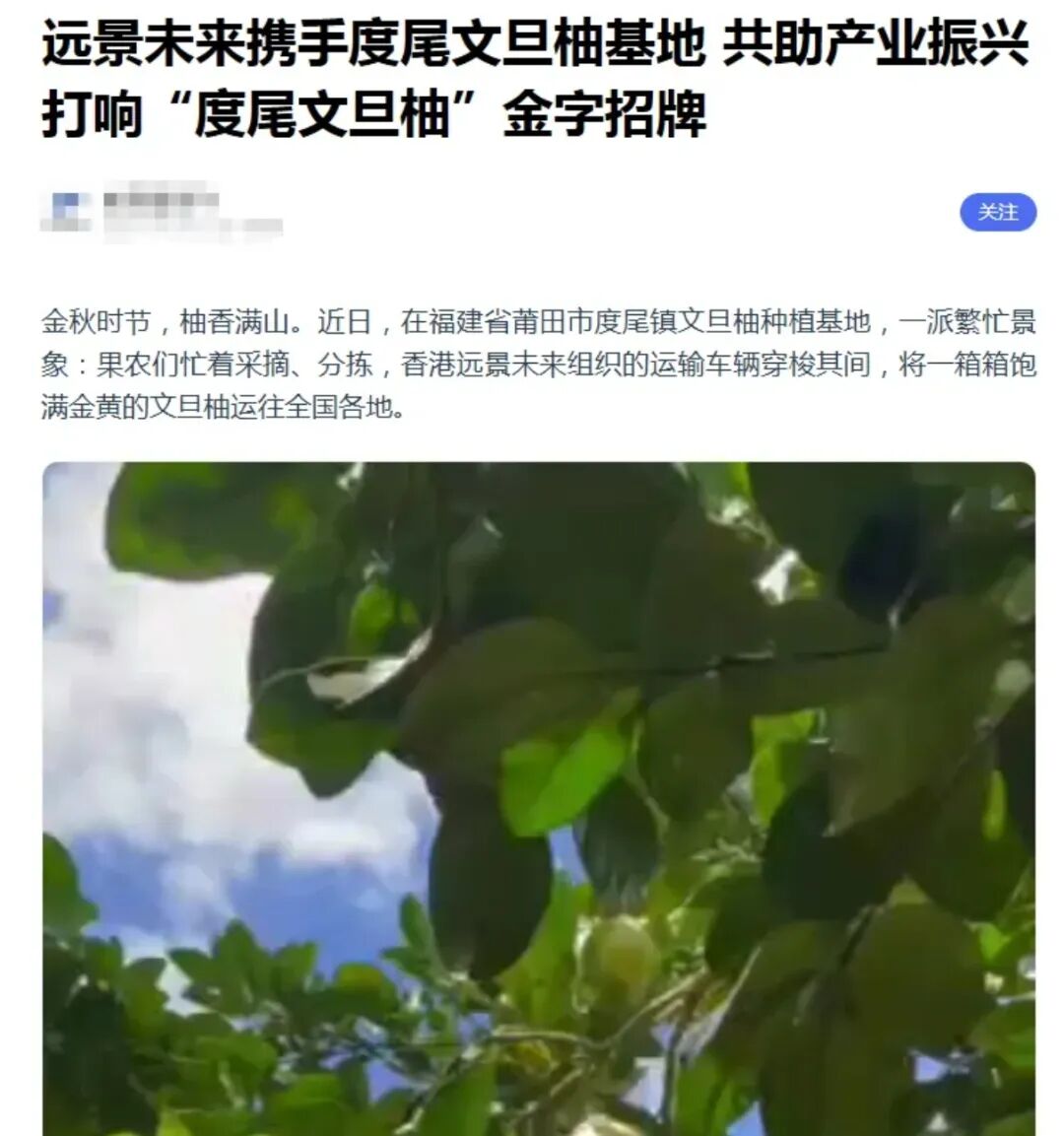 万交所资金盘骗局曝光：鸿运万交所期货是真的吗还是假的？插图2