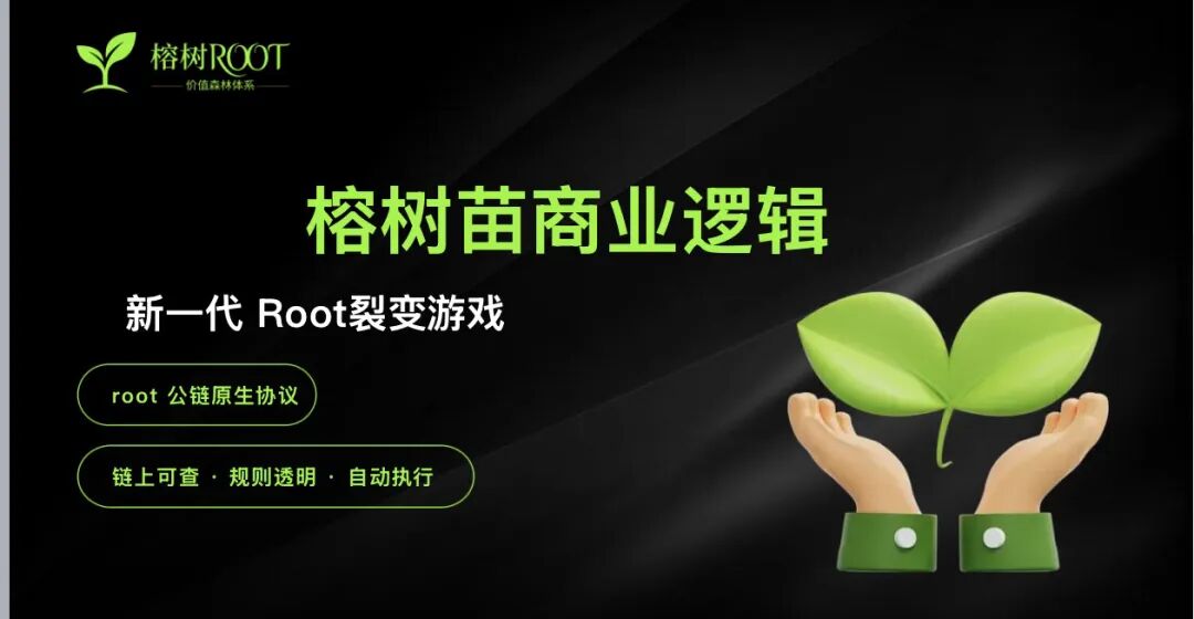警惕“榕树ROOT”：打着Web3旗号的典型资金盘骗局！！