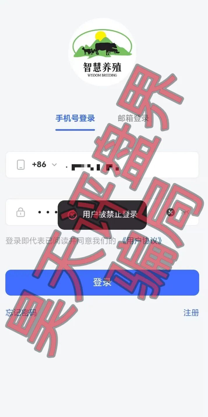 智慧养殖分红类资金盘骗局，昊天多次预警，已经开始单割，即将崩盘跑路！插图2