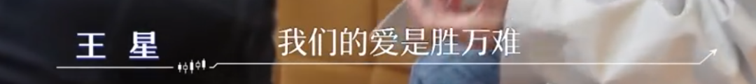 演员王星自曝被骗缅甸时手机被刷高额网贷，回应不结婚原因，至今无力还清女友借款，曾一天收入不到208元插图6