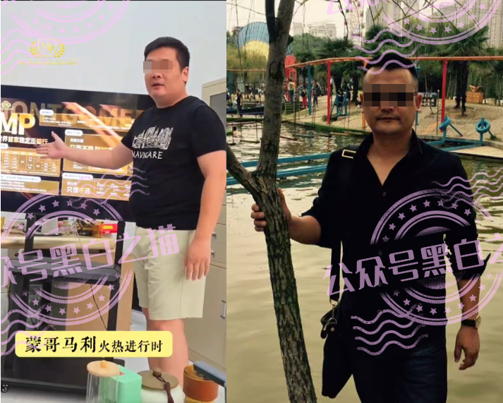 “MP蒙哥马利”项目暗藏玄机,巨大渔网洒向投资人插图29 “MP蒙哥马利”项目暗藏玄机,巨大渔网洒向投资人插图29
