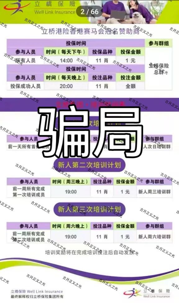 立桥保险（金鼎国际）彩票资金盘骗局，骗子套牌“立桥保险”资料进行非法诈骗活动，跑路倒计时！插图2