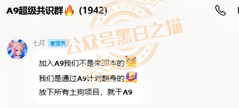 “MP蒙哥马利”人马转移“A9”项目，换成链上赌盘，投资人逃不过被割结局……插图16