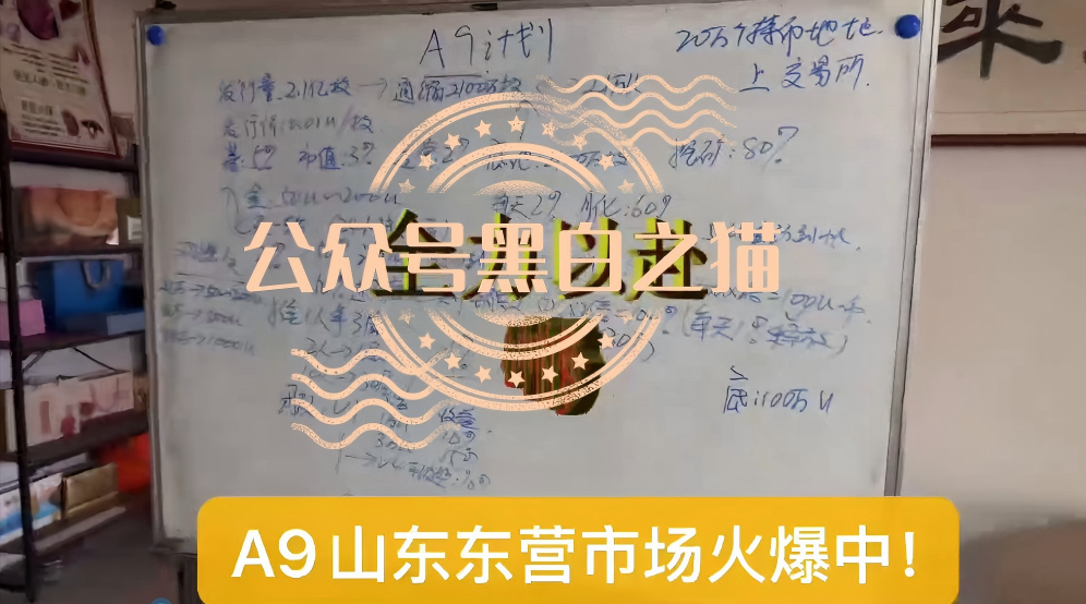 “MP蒙哥马利”人马转移“A9”项目，换成链上赌盘，投资人逃不过被割结局……插图14