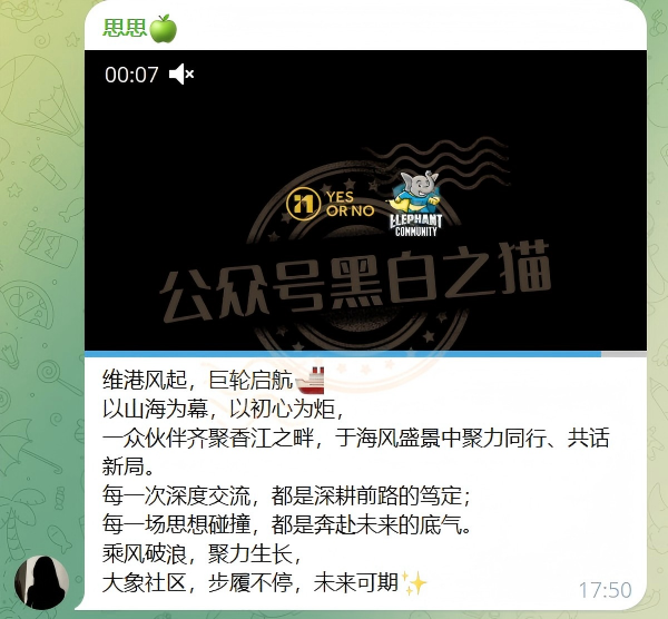 “MP蒙哥马利”人马转移“A9”项目，换成链上赌盘，投资人逃不过被割结局……插图8