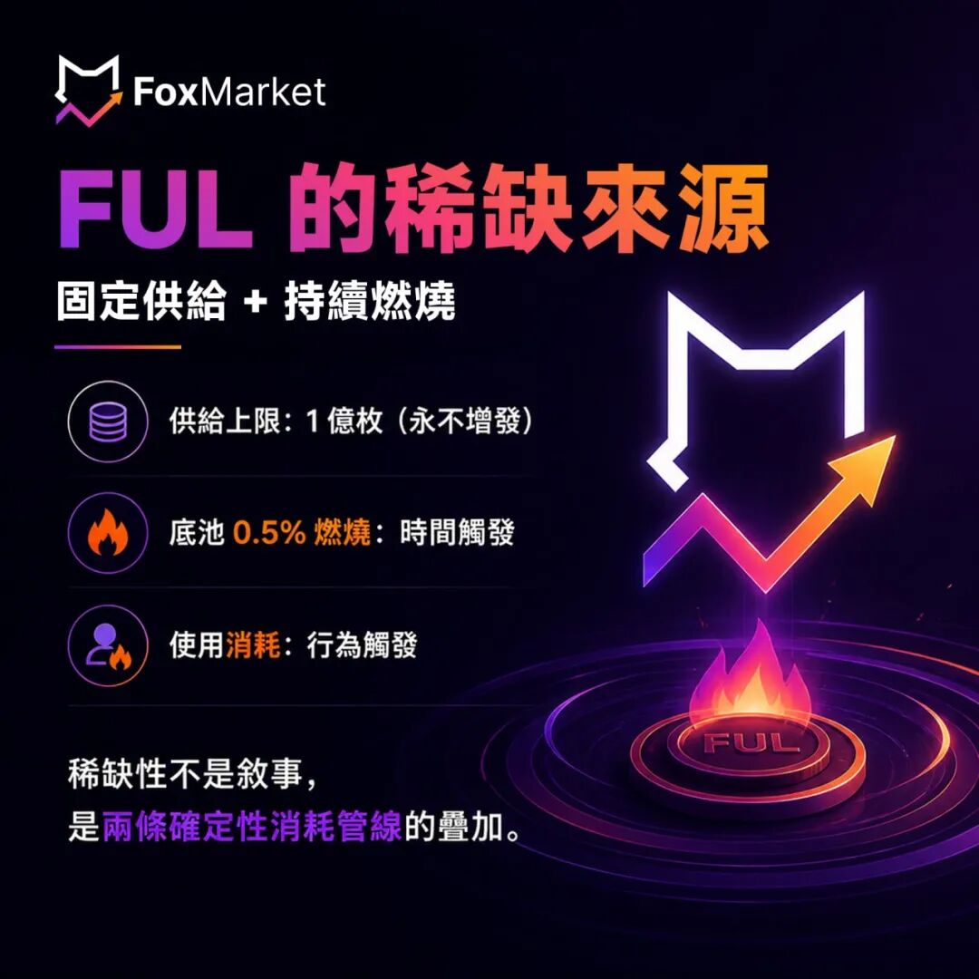 “FoxMarket狐狸市场”虚假币生态实为高风险资金盘，务必远离！插图6