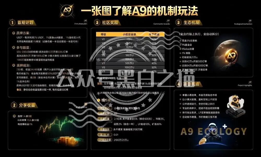 “MP蒙哥马利”人马转移“A9”项目，换成链上赌盘，投资人逃不过被割结局……插图3
