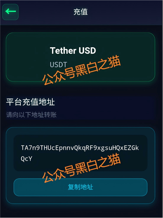 识破套牌“CoinShares”资金盘，远离诈骗，谨防被割韭菜……插图12