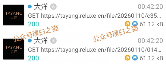 资金盘｜套牌“大洋”做非法项目，漏洞百出陷阱多，随时崩盘请远离……插图11