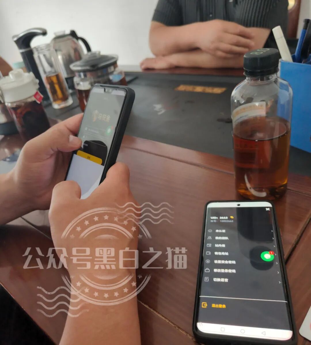 “东方百优”资金盘骗局，内外勾结沆瀣一气，内幕大泄露。插图10