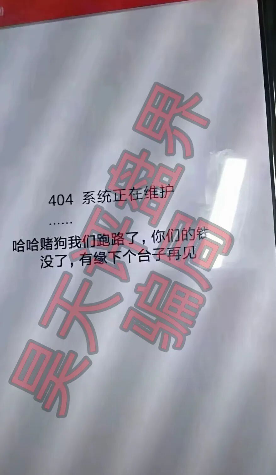警惕“国际”平台爆仓潮：一文学会识别资金盘骗局插图3