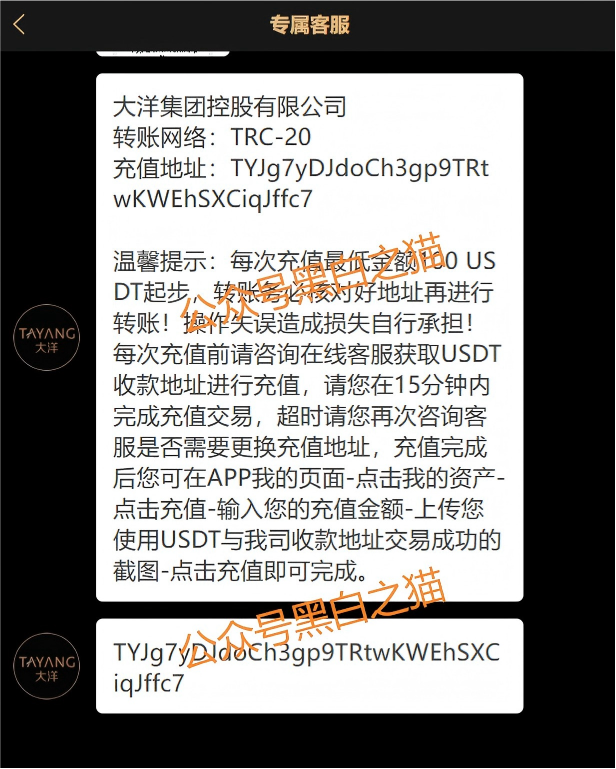 资金盘｜套牌“大洋”做非法项目，漏洞百出陷阱多，随时崩盘请远离……插图10